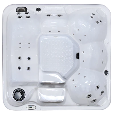 Hawaiian PZ-636L hot tubs for sale in Poughkeepsie